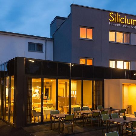 Hotel Silicium Höhr-Grenzhausen Exterior foto